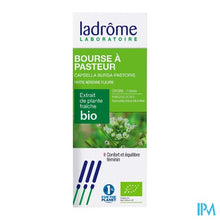 Charger l'image dans la galerie, Ladrome Capsella Bursa Pastoris/gew.herderst. 50ml
