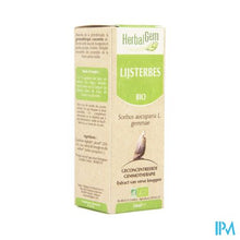 Charger l'image dans la galerie, Herbalgem Lijsterbes Maceraat 50ml
