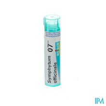 Load image into Gallery viewer, Symphytum Officinale 7ch Gr 4g Boiron
