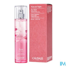 Afbeelding in Gallery-weergave laden, Caudalie Eau Fraiche Rose De Vigne 50ml Nf
