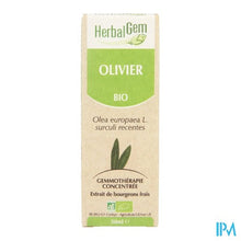 Afbeelding in Gallery-weergave laden, Herbalgem Olijfboom Maceraat 50ml
