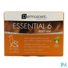 Afbeelding in Gallery-weergave laden, Essential 6 Spot-on Hond 1-10kg Pipet 4x0,6ml
