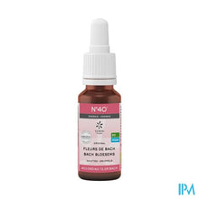 Charger l'image dans la galerie, Bachbloesem Bio N40 Druppels Energie 20ml

