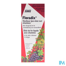 Load image into Gallery viewer, Salus Floradix Elexir 250ml

