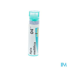 Afbeelding in Gallery-weergave laden, Apis Mellifica 4ch Gr 4g Boiron
