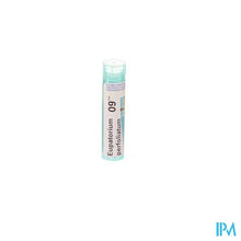 Afbeelding in Gallery-weergave laden, Eupatorium Perfoliatum 9ch Gr 4g Boiron
