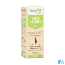 Afbeelding in Gallery-weergave laden, Herbalgem Wilde Wingerd Maceraat 50ml
