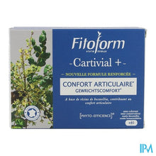 Charger l'image dans la galerie, Cartivial+ Gewrichtscomfort Comp 40 Fitoform
