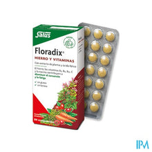 Afbeelding in Gallery-weergave laden, Salus Floradix Drag 84
