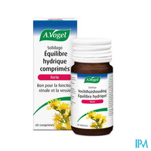 Load image into Gallery viewer, A.Vogel Solidago forte 60 tabletten
