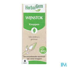 Load image into Gallery viewer, Herbalgem Wijnstok Maceraat Bio 30ml
