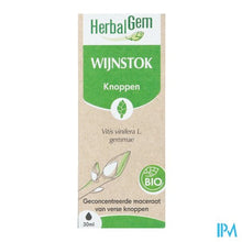 Afbeelding in Gallery-weergave laden, Herbalgem Wijnstok Maceraat Bio 30ml
