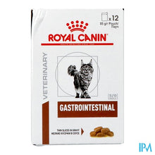 Load image into Gallery viewer, Royal Canin Cat Gastrointestinal Wet 12x85g
