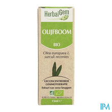 Charger l'image dans la galerie, Herbalgem Olijfboom Maceraat 15ml
