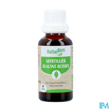 Load image into Gallery viewer, Herbalgem Blauw Bosbes Bio 30ml
