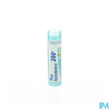 Afbeelding in Gallery-weergave laden, Rhus Toxicodendron 200k Gr 4g Boiron
