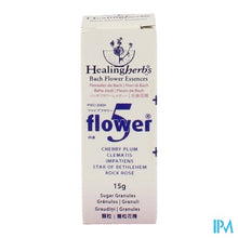 Charger l'image dans la galerie, Healing Herbs 5 Flowers Korrels 15g
