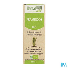 Charger l'image dans la galerie, Herbalgem Frambozen Maceraat 15ml
