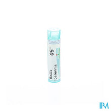 Charger l'image dans la galerie, Bellis Perennis 05ch Gr 4g Boiron
