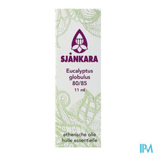 Load image into Gallery viewer, Sjankara Eucalyptus Glob 80/85 Bio Ess Olie 11ml
