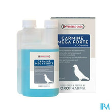 Load image into Gallery viewer, Carmine Mega Forte Fl 250ml
