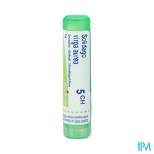 Afbeelding in Gallery-weergave laden, Solidago Virgaurea 5ch Gr 4g Boiron
