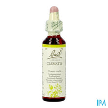 Charger l'image dans la galerie, Bach Flower Remedie 09 Clematis 20ml
