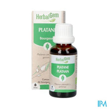 Charger l'image dans la galerie, Herbalgem Plataan Bio 30ml
