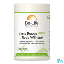 Charger l'image dans la galerie, Rode Wijnstok 1800 Be Life Bio Pot Gel 60
