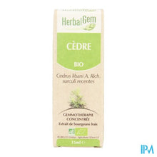 Charger l'image dans la galerie, Herbalgem Libanonceder Maceraat 15ml
