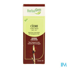 Charger l'image dans la galerie, Herbalgem Libanonceder Maceraat 50ml
