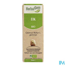 Load image into Gallery viewer, Herbalgem Eik Maceraat 50ml
