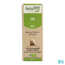 Charger l'image dans la galerie, Herbalgem Eik Maceraat 50ml
