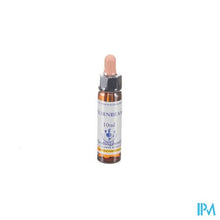 Charger l'image dans la galerie, Healing Herbs Hornbeam 10ml
