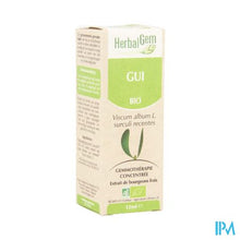 Charger l'image dans la galerie, Herbalgem Maretak Maceraat 15ml

