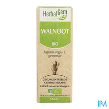 Charger l'image dans la galerie, Herbalgem Walnoot Maceraat 15ml
