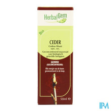 Charger l'image dans la galerie, Herbalgem Libanonceder Maceraat 50ml
