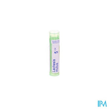 Afbeelding in Gallery-weergave laden, Lachesis Mutus 5ch Gr 4g Boiron
