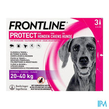 Afbeelding in Gallery-weergave laden, Frontline Protect Spot On Opl Hond 20-40kg Pipet 3
