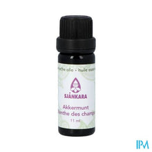 Load image into Gallery viewer, Sjankara Akkermunt Ess. Olie Bio 11ml
