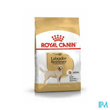 Load image into Gallery viewer, Royal Canin Dog Labrador Retriever Adult Dry 12kg
