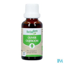 Afbeelding in Gallery-weergave laden, Herbalgem Olijfboom Bio 30ml
