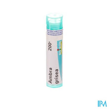 Load image into Gallery viewer, Ambra Grisea 200k Gr 4g Boiron
