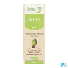 Charger l'image dans la galerie, Herbalgem Linde Maceraat 50ml
