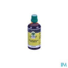 Load image into Gallery viewer, Fytobell Arctostaphylos Uva Ursi Ue Gutt 100ml
