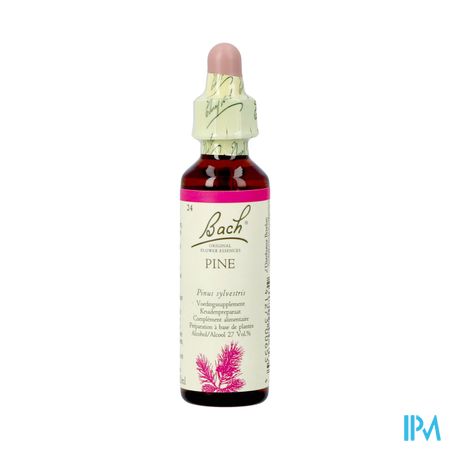 Bach Flower Remedie 24 Pine 20ml