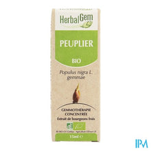 Charger l'image dans la galerie, Herbalgem Populier Maceraat 15ml
