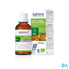 Charger l'image dans la galerie, Ladrome Escholtzia Californica/slaapmutsje 50ml
