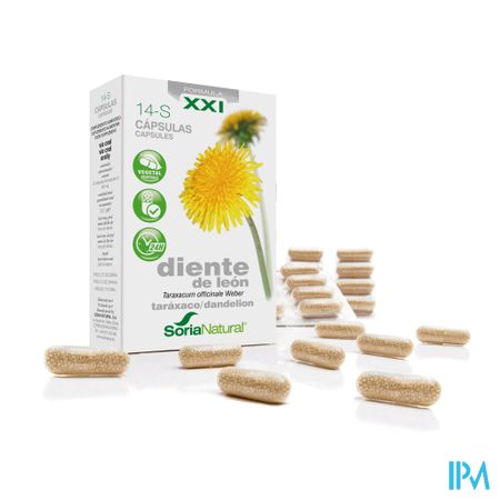 Soria 14-s Taraxacum Xxi Caps 30
