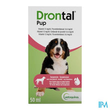Load image into Gallery viewer, Drontal Pup Susp 50ml
